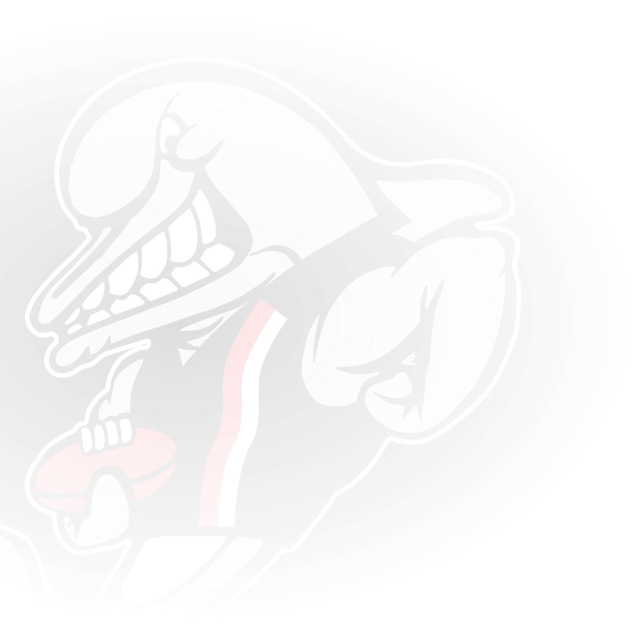 Official AFL site of the Richmond Football Club