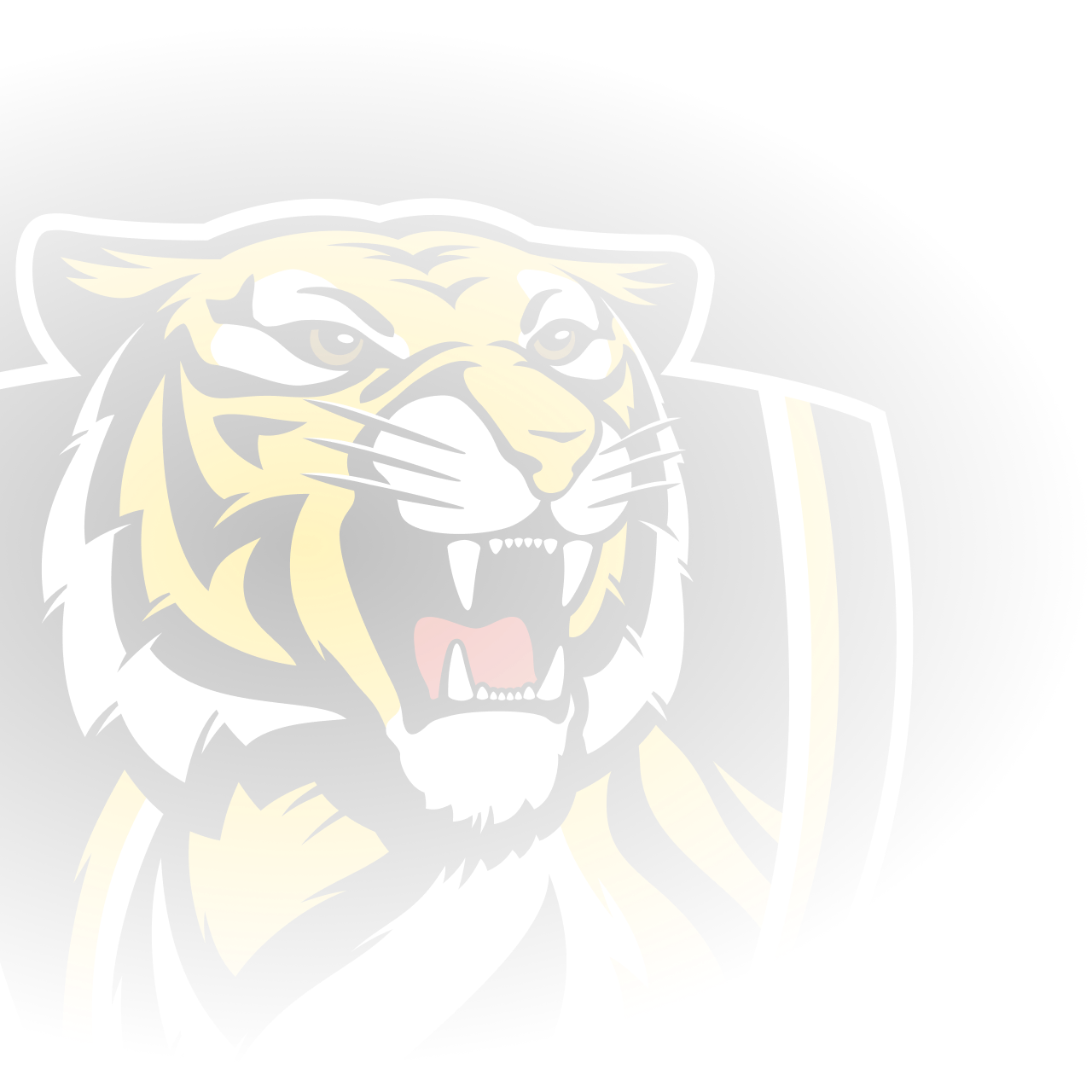 Official AFL site of the Richmond Football Club