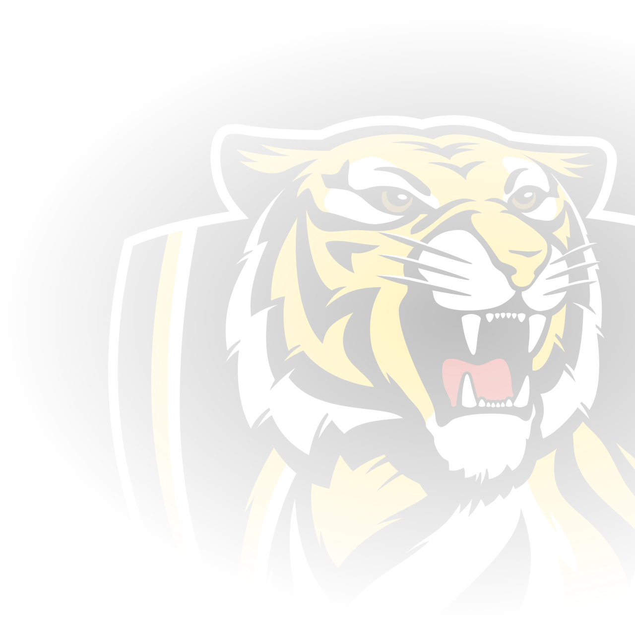 Richmond footy deals club